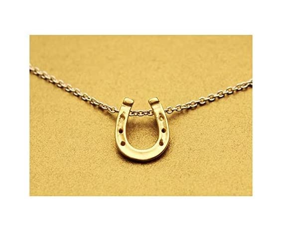 Minimalist Simple Tiny Horseshoe Pendant Necklace for Women Lucky Horseshoe Necklace with Meaning Card3