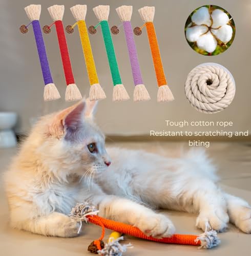 Petelligent Bent Cat Rope Toy, Pet Chew Toys, Interactive Tease Toys for Cats and Kittens, Bite-Proof Playthings, Cotton Rope Kitten Toys Dental Care Stress Relief Pet Supplies (Medium 6 Pack) - Image 3