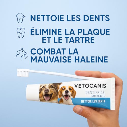 Vetocanis Bio00068 Zahnpflegeset für Hunde, mit Zahnbürste, Zahnpasta und Massagebürste, Geschmack Biscuit, 1 stück (1er Pack)