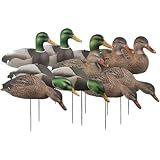 Avery 12 Pack of Over-Size Mallard Shell Harvester Decoys (70167)