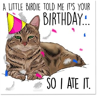 Notnicethings Cat Birthday Card, Humorous Greeting Card, Happy Birthday for Friends, Gift for Cat Lovers