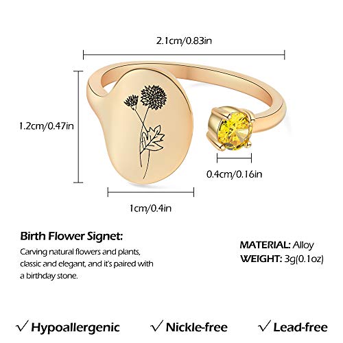 SLOONG Handmade Birth Month Flower Signet Ring 14K Gold Plated Ring Birth Stone Ring Birthday Valentine's Christmas Gift for Mom Daughter Girlfriend Wife4