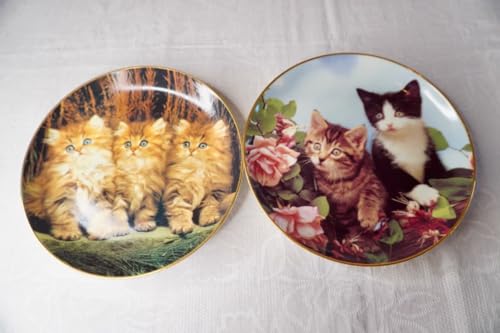 絵皿」の人気商品一覧 | 安い商品を通販サイトから探す - 価格.com