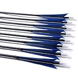 Perfecto para la práctica de tiro con arco Caza de tiro al aire libre Target Targing Competition, Paquete: 12pcs Flechas de carbono