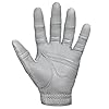 Bionic Men's StableGrip with NaturalFit 2.0 Golf Glove with Dual Expansion Thumb for Best Fit - Premium Cabretta Leather… (Gray, Large, Left)