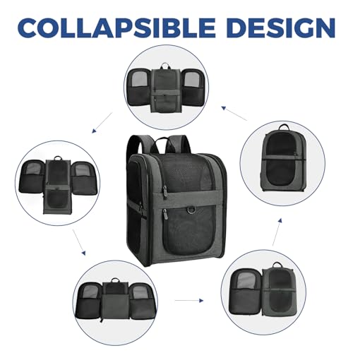 Apollo Walker Pet Carrier Backpack