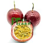 PF FARM Dark Purple Passion Fruit -- Fresh Sweet Good Smell --3lbs (Florida No. 1)
