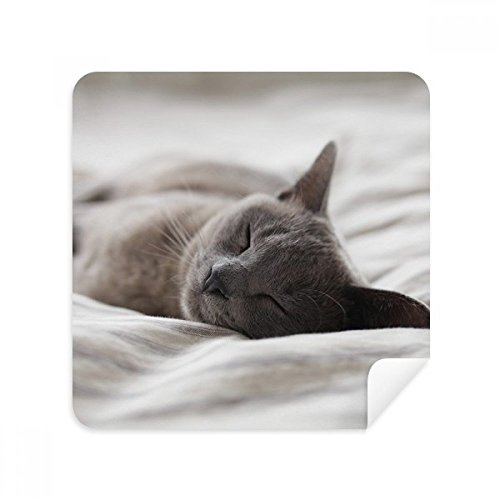 Chiffon de nettoyage pour enlever traces de doigts écran chat