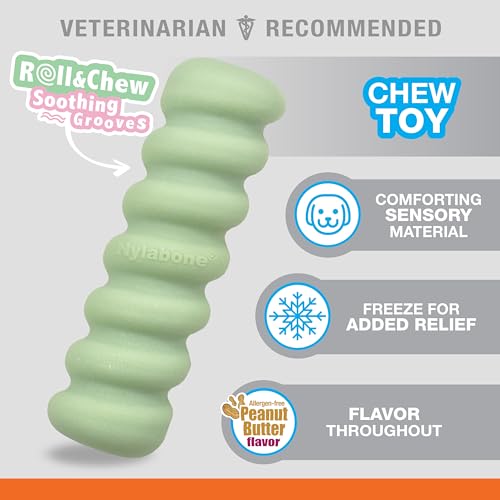 Nylabone bâton de jouets tactiles pour chiot taille S dentition - 4
