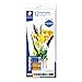 Produktbild STAEDTLER 8500 C12 Acrylfarben (hoch pigmentiert, weicher Farbabstrich, leicht mischbar, Künstlerqualität) Kartonetui mit 12 brillanten Farben à 12 ml