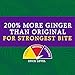 Reed's Strongest Ginger Beer - 3x Fresh Ginger Root for Intense Spice - 12oz Glass Bottles, 12 Pack