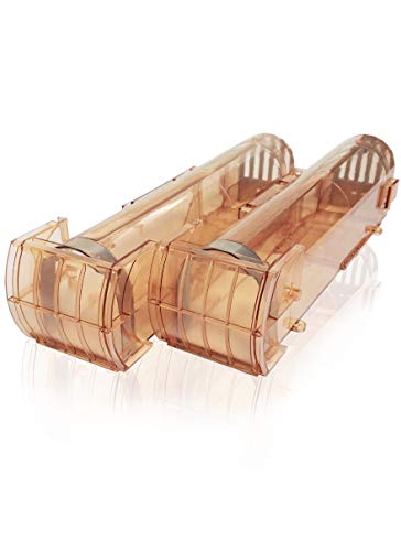 ANNVCHI Mouse trap, Professional Humanized Trap, Reusable, for Kitchen and Outdoor (2PCS) (1)