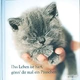 Pictura GmbH & Co KG