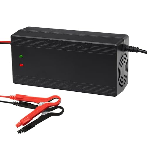 12V 10A Fully Automatic Trickle Lithium LifePO4 Battery Charger, 14.6V Smart Charger & Maintainer for LifePO4 Deep Cycle Rechargeable Batteries, Auto Car Motorcycle Lawn Mower ATV RV Powersport Boat