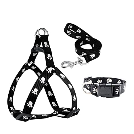 RvPaws Adjustable Soft Nylon Paw Printed Combo Set Collar, Harness and Leash for All Breeds Dogs, Cat and Puppies (Pack of 3) - Color as per Availability (B0B34D15J7) Amazon Price History, Amazon Price Tracker
