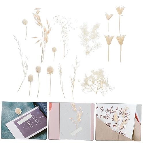 Kit de Flores Secas para Manualidades Flores Eternas Blancas miniatura 5
