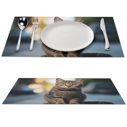 Sets de table marron tigré chic en PVC résistant à la chaleur - 2