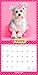 Puppies in Pink | 2026 12 x 24 Inch (Hanging) Monthly Square Wall Calendar | Plastic-Free | BrownTrout | Animals Fun Humor Pets