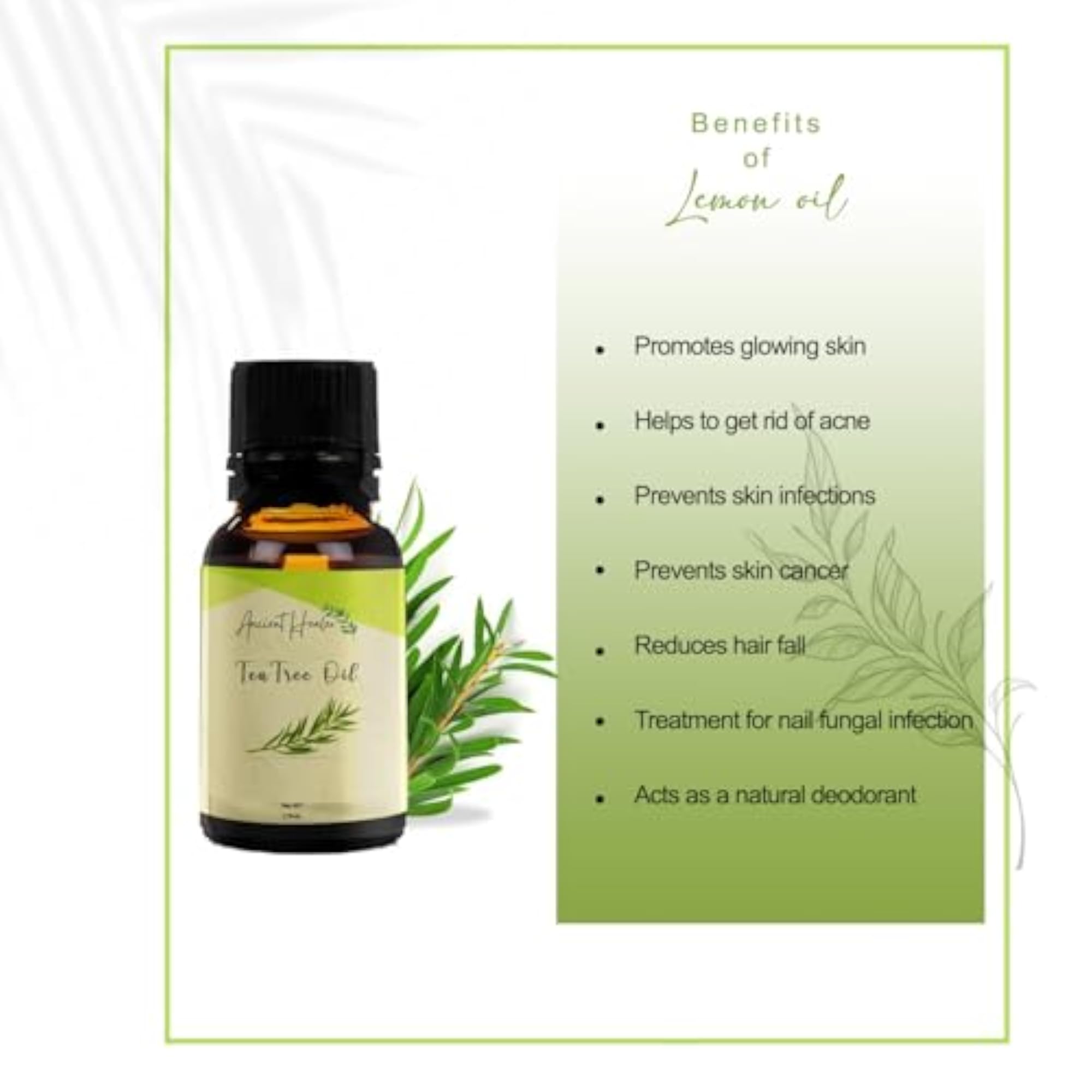 ANCIENT HEALER Tea Tree Essential Oil, Natural & Organic