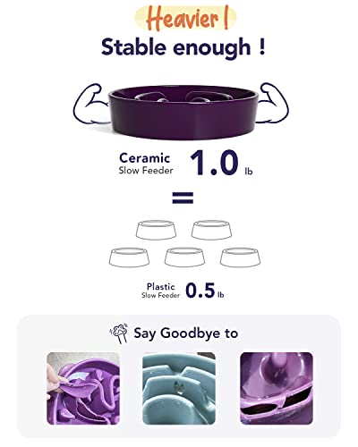 image for LE TAUCI Ceramic Slow Feeder Dog Bowls Small Breed, 0.6 Cups Dog Food 