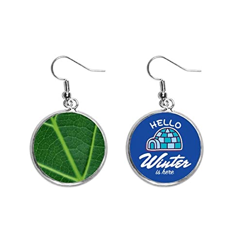 Pendientes de gota de plantas de color verde oscuro accesorio de colgar patrón naturaleza