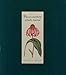 Flowers and Herbs of Early America (Colonial Williamsburg Foundation)