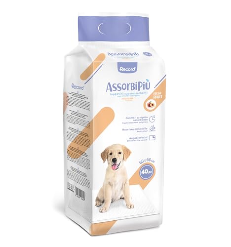 Record Hygienematten Absorbipiu für Hunde Superabsorbierend mit Fruchtaroma. Einweg-Hundeschlafunterlage | Größe 60 x 60 cm, 40 Stück