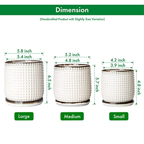 D'vine Dev 6 Inch Ceramic Beaded Stoneware Planter Pot - Flower Pot With Drainage Holes And Saucers For Indoor Succulent Plants Or Flowers, Smoked White, 27-N-B-Sw-M #TOP2