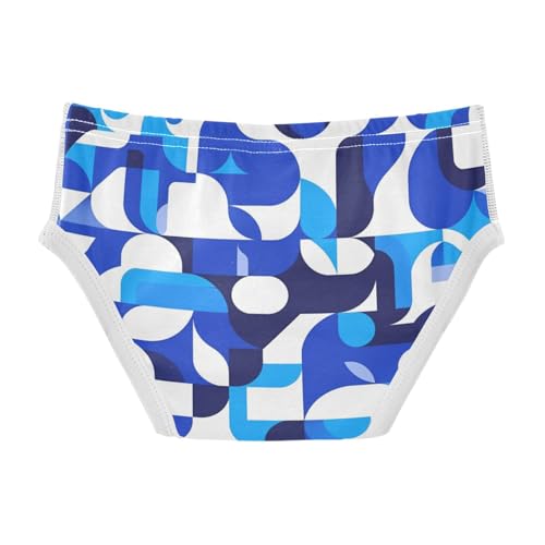 KLL Bluoddler Boy Pure Cotton Underwear Briefs Breathable Undies2