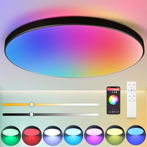 CANMEIJIA 12 Inch Smart LED Ceiling Light Cover