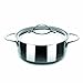 IBILI Cacerola con Tapa INOX Noah 20 CM, Acero Inoxidable