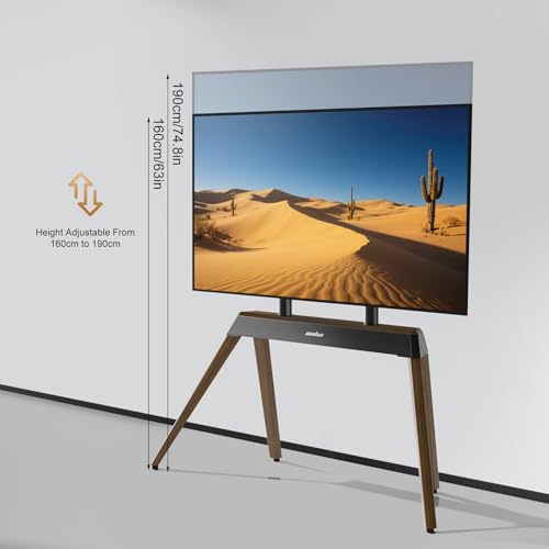 Support TV sur pied haut de gamme meuble de télévision rigide 50kg pour écran plat OLED et LED