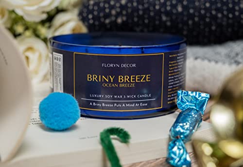 Image of Floryn Decor 3 Wick Candle | Candle for Home Decoration | Luxury Candle for Home Decor | | Burning Time - 40 Hours | Soy Wax Candles Scented (Ocean Breeze)