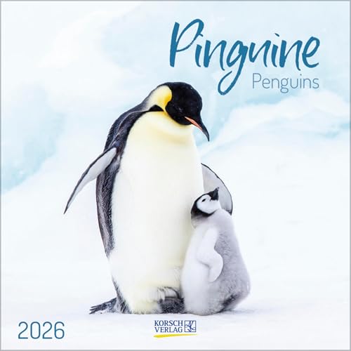 Pinguine 2026: Broschürenkalender mit Ferienterminen. 30 x 30 cm - Wandkalender