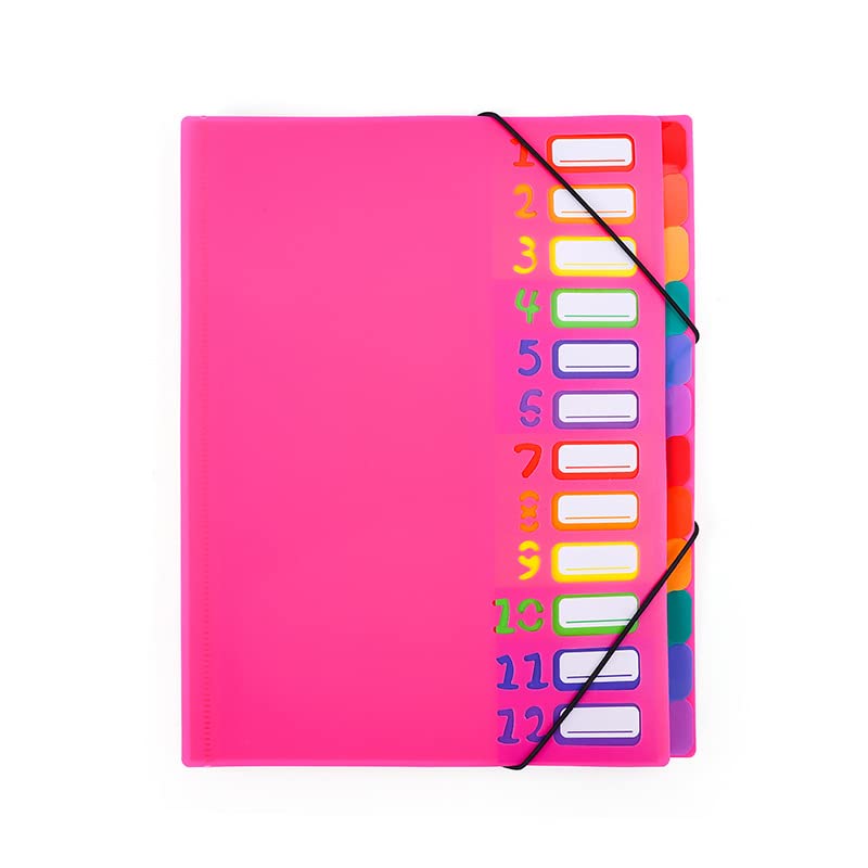Lot De 4 Trieurs Documents A4 Extensibles – 5 Compartiments Par Pochette – Organiseur Bureau Maison Avec Étiquettes – Bleu, Rose, Vert, Violet