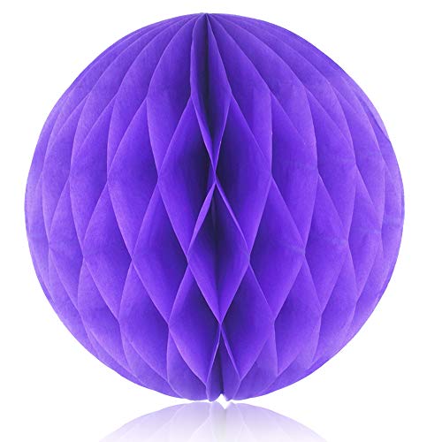 Paper Pom Poms Color Tissue Flowers Birthday Celebration Wedding Party Halloween Christmas Outdoor Decoration, BZCTAH DIY Paper Flower Lanterns Balls for Decoration, 8