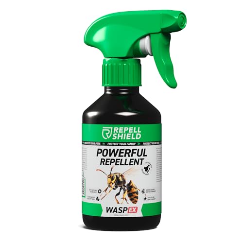 How to get rid of pollen beetles How to get rid of pollen beetles