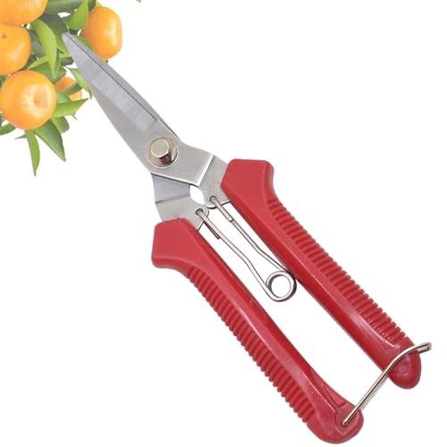 Rebornsun �K�[�f�j���O�p����΂��� - �w�r�[�f���[�e�B�[ �g���~���O�n�T�~ ���d�l,�����J�b�g �g���~���O�c�[�� �l�ԍH�w�n���h�� �K�іh�~ ��؎��n �Ő������p