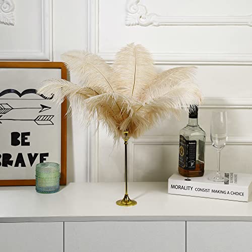 Ballinger Champagne Ostrich Feathers Bulk - 12Pcs 12-14Inch Large Boho Feathers For Vase，Wedding Party Centerpieces Home And Pampas Grass Decor #TOP4