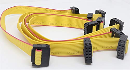 Cable plano de cinta IDC de 10 pines y 25 cm con conectores hembra FC