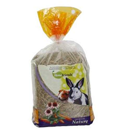 Cominter Bol Naturel pour rongeurs Home Friends avec Pomme et Plateau 500 g