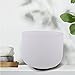 FMTY 10inch Crystal Singing Bowl WHITE G Note Throat Chakra with soft carrying case and Singing Mindfulness, Yoga, Spiritual and Body Healing and Energy Cleansing