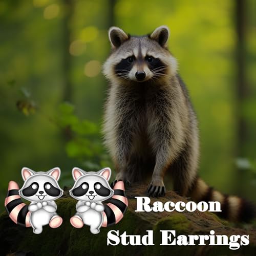 Cute Raccoon Earrings for Women - 925 Sterling Silver Raccoon Earrings Studs Cute Animal Stud Earrings Hypoallergenic Jewelry Gift for Women3