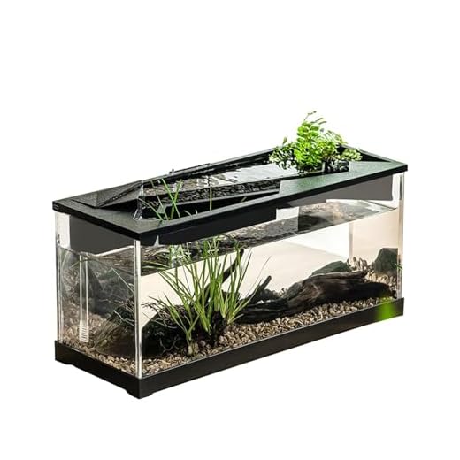 Small Fish Tank - Aquarium de Bureau Transparent Acrylique avec Filtre - Kits de démarrage du Poisson-Poisson avec Pompe à air pour Table, Salon, Studio, Maison