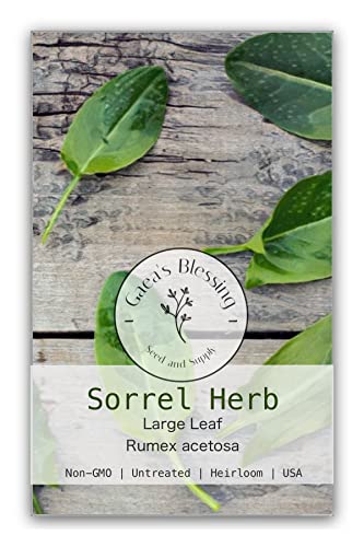 Gaeas Blessing Seeds - Sorrel Herb Seeds - Non-GMO Seeds with Easy to Follow Planting Instructions - Open-Pollinated High Yield Heirloom