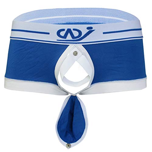 [Agoky] (ASL[) Y {NT[u[t pc V[c A_[EFA Nb`I[v  V[c OJ  {NT[  j u[ L