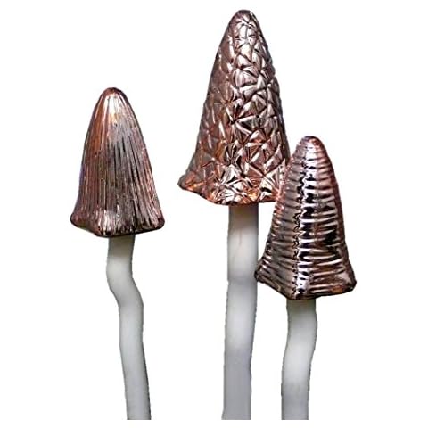 Timeless Toadstools - Set of 3 Metallic Lustre Rose Gold Cover