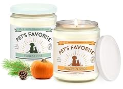 Pumpkin Spice and Forest Pine