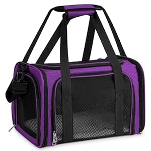 TOFFCAEA Transporttasche für Katze Hund, Hundetransportbox, Faltbare Katzentransportbox, tragbar, 5kg Katzen Hunde Tragebox, für mittelgroße Hunde, Katze (Lila, L 43 x B 28 x H 28 cm)