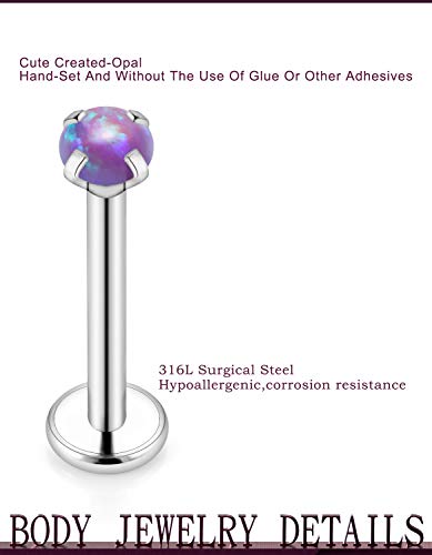 Jenxnjsjo Lip Rings Cartilage Earring 16g 6/8/10mm Medusa Monroe Ashley Labret Surgical Steel Flat Back Tragus Helix Conch Piercing Jewelry Earrings for Women Men3